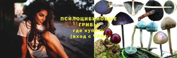 apvp Верхний Тагил