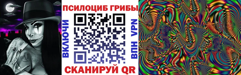 Галлюциногенные грибы MAGIC MUSHROOMS  Вышний Волочёк 